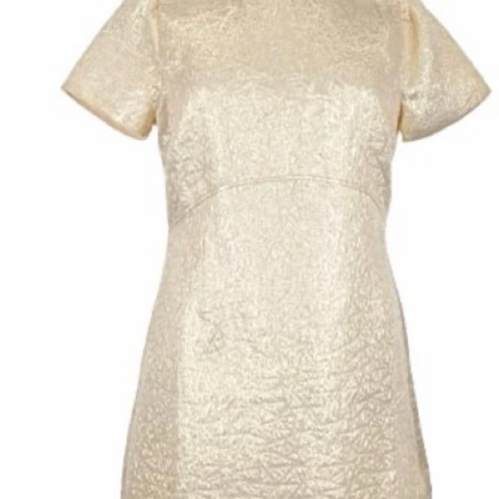 Ann Taylor Loft Metallic Brocade Dress